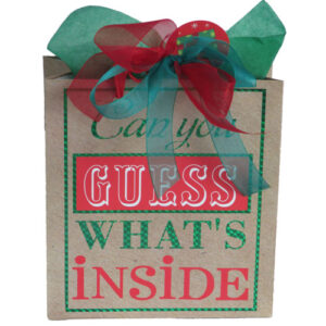 Guess Gift Bag